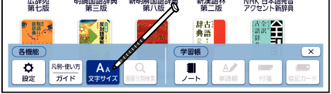 Change_Font_Size 001 SA4910